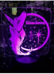 Fox Dreamcatcher 3D Personalised Smart App Control Night Light Bluetooth, Music, 7&16M Colour Mobile App , Gift Led Lamp