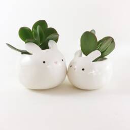 Ceramic Bunny Planter Kawaii Easter Rabbit Plant Pot - thumbnail 1