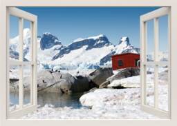 Antarctica Wall Decal, Iceberg Penguins Snow Mountains 3D Window View Sticker