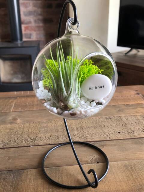 Diy Terrarium Air Plant Kit, Mr & Mrs Gift. Wedding Present, Wedding Keepsake, Marriage. Tillandsia Unique Terrarium - image 1