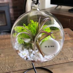 Diy Terrarium Air Plant Kit, Mr & Mrs Gift. Wedding Present, Wedding Keepsake, Marriage. Tillandsia Unique Terrarium - thumbnail 3