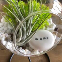 Diy Terrarium Air Plant Kit, Mr & Mrs Gift. Wedding Present, Wedding Keepsake, Marriage. Tillandsia Unique Terrarium - thumbnail 2