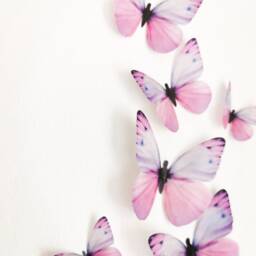 Pastel Pink & Lilac Butterfly Wall Decor 3D Decals, Girls Bedroom, Set Of 6 - thumbnail 4