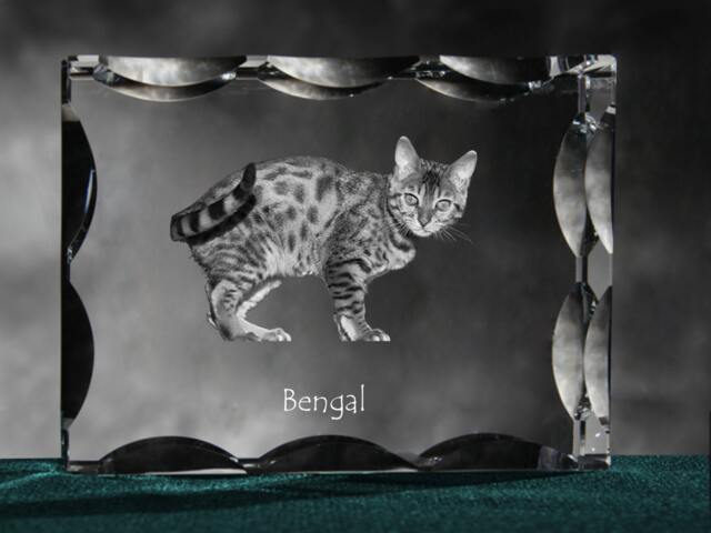 Bengal , Cubic Crystal With Cat, Souvenir, Decoration, Limited Edition, Collection - image 1