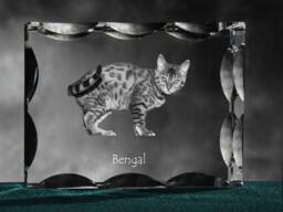 Bengal , Cubic Crystal With Cat, Souvenir, Decoration, Limited Edition, Collection - thumbnail 1