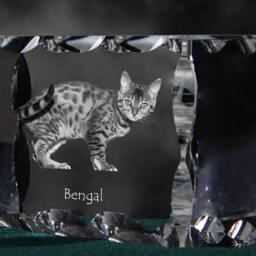 Bengal , Cubic Crystal With Cat, Souvenir, Decoration, Limited Edition, Collection - thumbnail 2