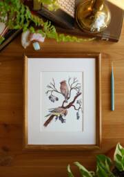 Cedar Waxwings // 5x7/8x10 Art Print Nature Birds Watercolour Painting Illustration - thumbnail 1
