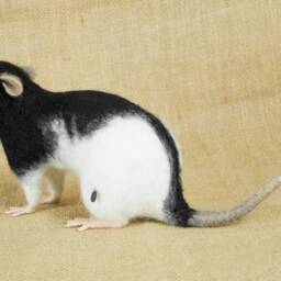 Made To Order Needle Felted Rat Custom Needle Felted Animal Sculpture - thumbnail 3