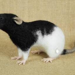 Made To Order Needle Felted Rat Custom Needle Felted Animal Sculpture - thumbnail 4