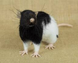 Made To Order Needle Felted Rat Custom Needle Felted Animal Sculpture
