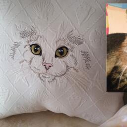 Embroidered Cat Face Pillow - 16x16 Or 18x18 - thumbnail 3