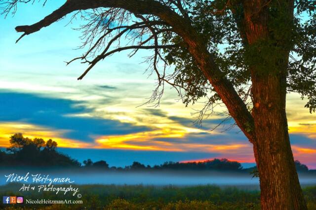 Foggy Sunset Photography Metal Print Scenic Photo Spring Scenery Summer Hdr Cottonwood Trees Fog & Sky By Nicole Heitzman