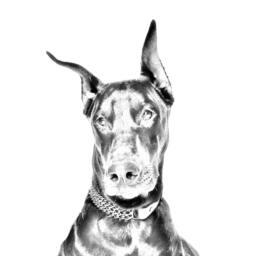 Dobermann - Wooden Stand For Candles/Pens With The Image Of A Dog New Collection - thumbnail 2