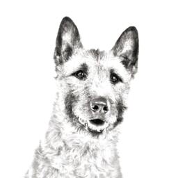 Laekenois - Wooden Stand For Candles/Pens With The Image Of A Dog New Collection - thumbnail 2