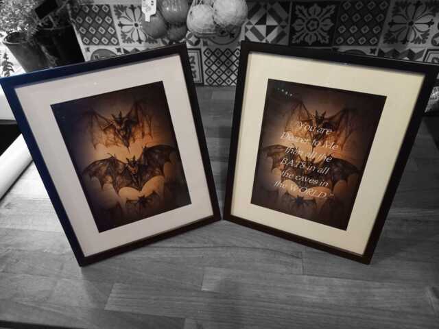 "Oddity Curiosity Goth Gothic Witchy Vampire Victorian Style Anatomy Illustration Inspired ""Bat Set" - image 1