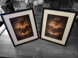 "Oddity Curiosity Goth Gothic Witchy Vampire Victorian Style Anatomy Illustration Inspired ""Bat Set" - thumbnail 1