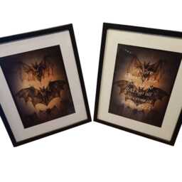 "Oddity Curiosity Goth Gothic Witchy Vampire Victorian Style Anatomy Illustration Inspired ""Bat Set" - thumbnail 2