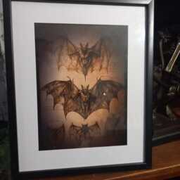 "Oddity Curiosity Goth Gothic Witchy Vampire Victorian Style Anatomy Illustration Inspired ""Bat Set" - thumbnail 3