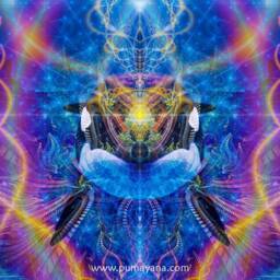 Ardluk Spirit Tapestry - Wall Hanging Totem Meditation Spiritual Visionary Whale- Healing Art - thumbnail 2