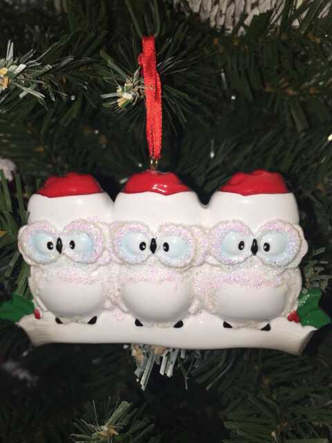Personalized Owl Family Christmas Ornament, Resin Keepsake
