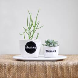"Indoor Planter, ""Thanks"" Blockprint Canvas Bucket For Plants & Small Storage, 4" - thumbnail 3