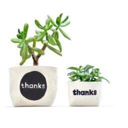 "Indoor Planter, ""Thanks"" Blockprint Canvas Bucket For Plants & Small Storage, 4" - thumbnail 4