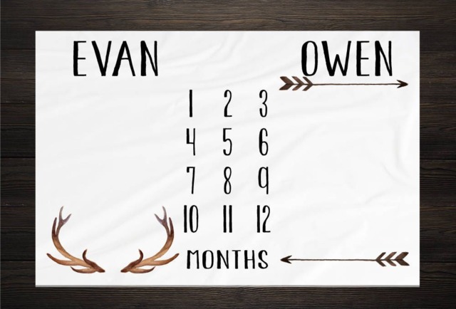 Twin Baby Milestone Blanket Month Growth Tracker Fleece Shower Newborn Gift Minky Boy Girl - image 1