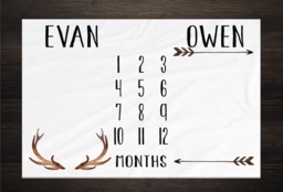 Twin Baby Milestone Blanket Month Growth Tracker Fleece Shower Newborn Gift Minky Boy Girl - thumbnail 1
