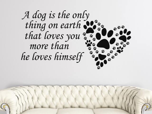 Dog Quote Wall Decals. Pet Art Decal. Paw Print Decor. A Is The Only Thing Stickers. Grooming Salon Decor Me9 - image 1