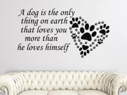 Dog Quote Wall Decals. Pet Art Decal. Paw Print Decor. A Is The Only Thing Stickers. Grooming Salon Decor Me9 - thumbnail 1
