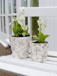 Poppies & Corn Flowers Plant Pot