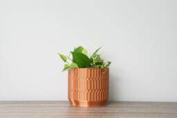"Mabel Planter With Drainage & Saucer in Copper, Boho 3D-Printed Plant Pot, Small To Large Sizes 4"" 5"" 6"" 7"" 8" - thumbnail 1