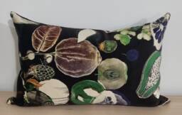 Designers Guild Christian Lacroix Soft Manaos Onyx & Omega Velvet Cushion Cover 35x55 cm - thumbnail 1
