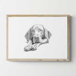 Vizsla Print, Cute Dog Vintage Sketch, Farmhouse Decor, Gifts - thumbnail 1