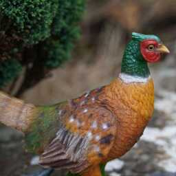 Pheasant Resin Sculpture Home Garden British Game Bird Statue Outdoor Ornament Birds Gift - thumbnail 2