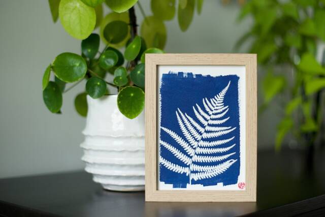 Cyanotype, Fern, Nature, Unique, Alternative Photography - image 1