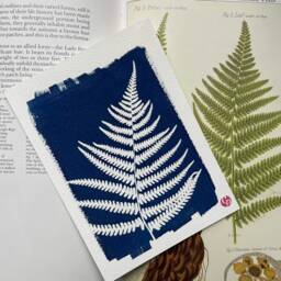 Cyanotype, Fern, Nature, Unique, Alternative Photography - thumbnail 2