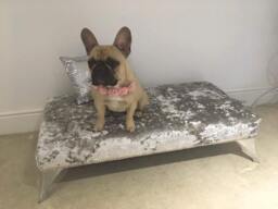 Handmade Silver Crushed Velvet Footstool, Bespoke Dog Bed