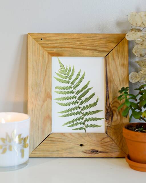 Ostrich Fern - Print Reproduction Artwork Of Pressed Plants 100% Cotton Rag Paper Botanical Artwork, Greenery - image 1