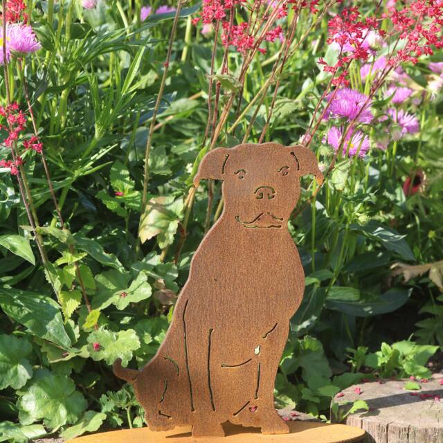 Rusty Metal Staffie Statue, Garden Decor, Staffordshire Terrier Gift - image 1