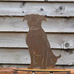 Rusty Metal Staffie Statue, Garden Decor, Staffordshire Terrier Gift - thumbnail 3