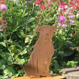 Rusty Metal Staffie Statue, Garden Decor, Staffordshire Terrier Gift - thumbnail 1