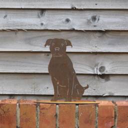 Rusty Metal Staffie Statue, Garden Decor, Staffordshire Terrier Gift - thumbnail 4