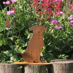 Rusty Metal Staffie Statue, Garden Decor, Staffordshire Terrier Gift - thumbnail 2