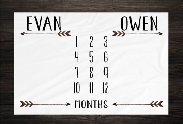 Twin Baby Milestone Blanket Month Growth Tracker Fleece Shower Newborn Gift Minky Boy Girl - image 1
