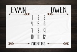 Twin Baby Milestone Blanket Month Growth Tracker Fleece Shower Newborn Gift Minky Boy Girl - thumbnail 1