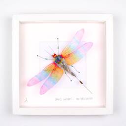 Framed Steampunk Dragonfly Sculpture Recycled Circuit Board Art - thumbnail 1
