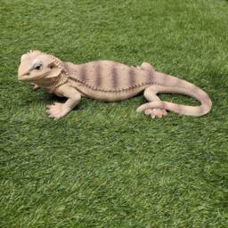 Bearded Dragon Wall D??cor, Lizard Sculpture, Reptile Garden Ornament, Climbing Statue, Outdoor D??cor - thumbnail 2