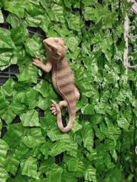 Bearded Dragon Wall D??cor, Lizard Sculpture, Reptile Garden Ornament, Climbing Statue, Outdoor D??cor
