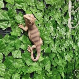 Bearded Dragon Wall D??cor, Lizard Sculpture, Reptile Garden Ornament, Climbing Statue, Outdoor D??cor - thumbnail 3